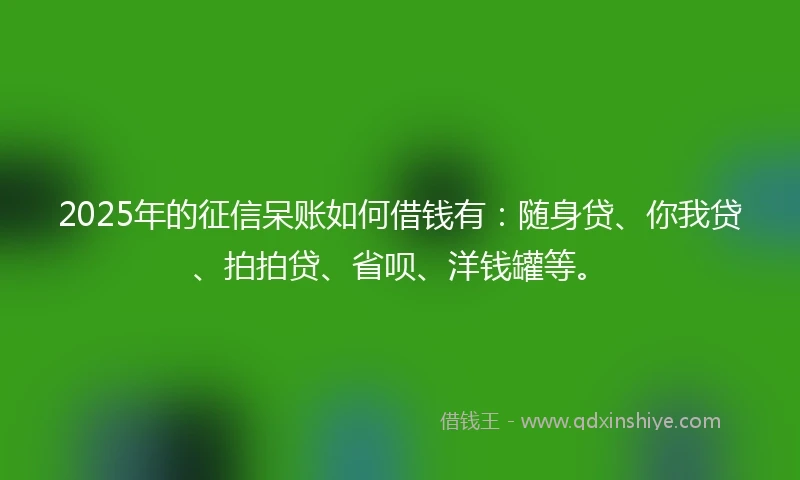 2025年的征信呆账如何借钱有：随身贷、你我贷、拍拍贷、省呗、洋钱罐等。
