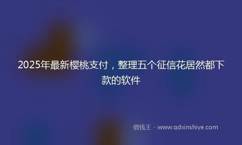 2025年最新樱桃支付，整理五个征信花居然都下款的软件