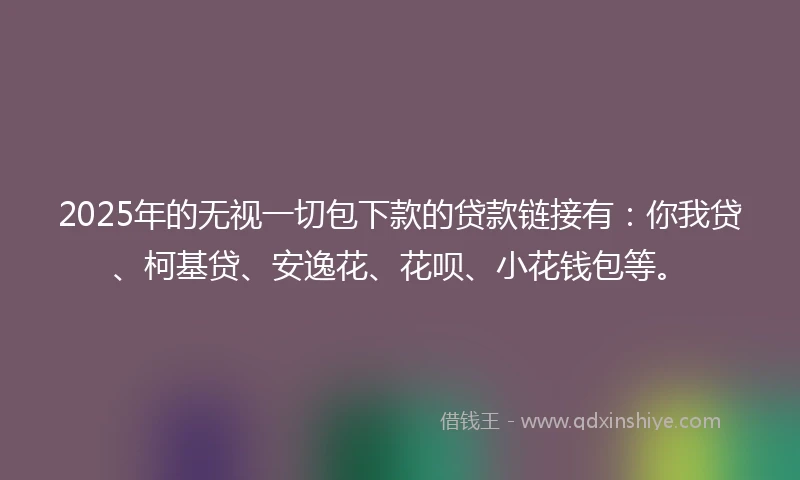 2025年的无视一切包下款的贷款链接有：你我贷、柯基贷、安逸花、花呗、小花钱包等。