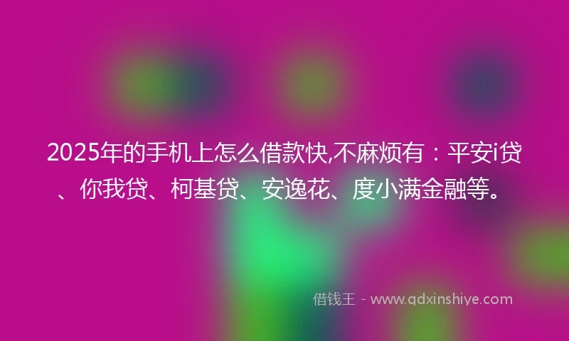 2025年的手机上怎么借款快,不麻烦有：平安i贷、你我贷、柯基贷、安逸花、度小满金融等。