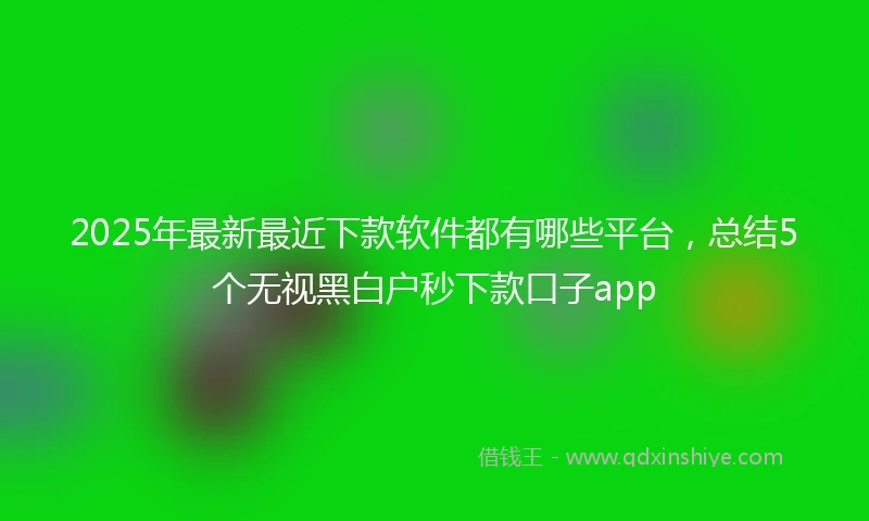2025年最新最近下款软件都有哪些平台，总结5个无视黑白户秒下款口子app