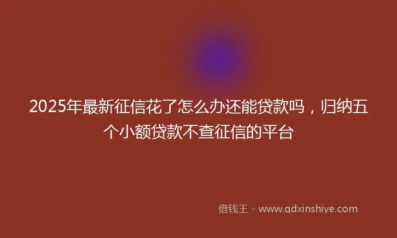 2025年最新征信花了怎么办还能贷款吗，归纳五个小额贷款不查征信的平台