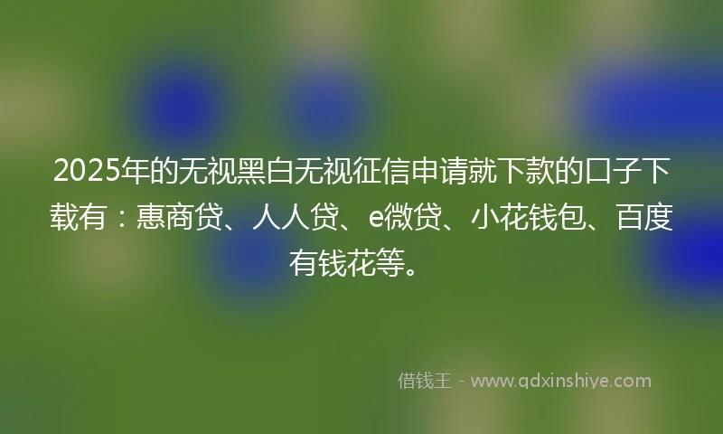 2025年的无视黑白无视征信申请就下款的口子下载有：惠商贷、人人贷、e微贷、小花钱包、百度有钱花等。