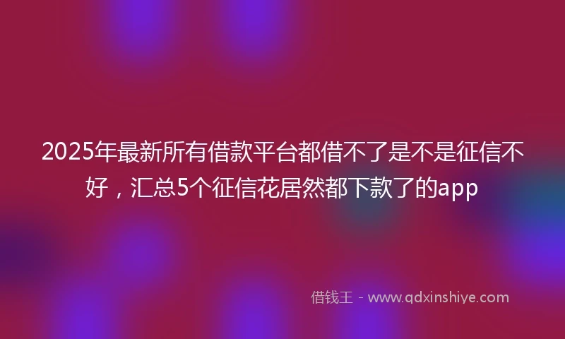 2025年最新所有借款平台都借不了是不是征信不好，汇总5个征信花居然都下款了的app