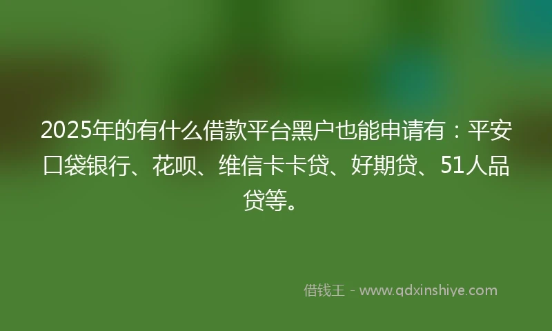 2025年的有什么借款平台黑户也能申请有：平安口袋银行、花呗、维信卡卡贷、好期贷、51人品贷等。