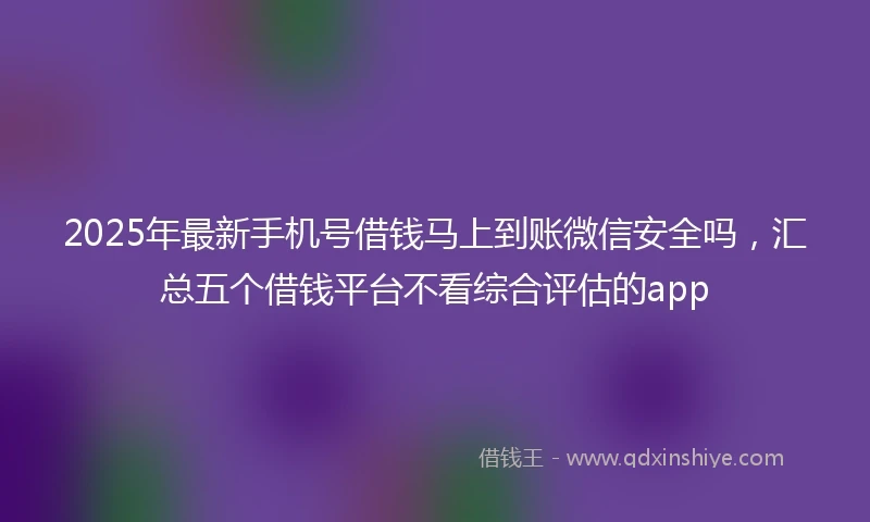2025年最新手机号借钱马上到账微信安全吗，汇总五个借钱平台不看综合评估的app