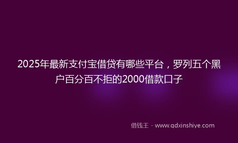 2025年最新支付宝借贷有哪些平台，罗列五个黑户百分百不拒的2000借款口子