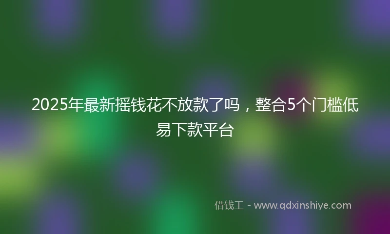 2025年最新摇钱花不放款了吗，整合5个门槛低易下款平台