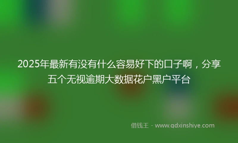 2025年最新有没有什么容易好下的口子啊，分享五个无视逾期大数据花户黑户平台