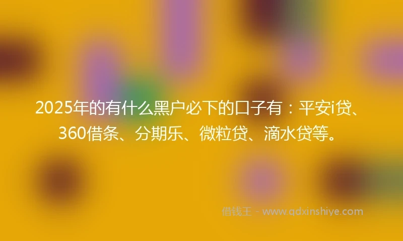 2025年的有什么黑户必下的口子有：平安i贷、360借条、分期乐、微粒贷、滴水贷等。