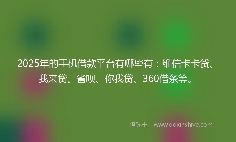 2025年的手机借款平台有哪些有：维信卡卡贷、我来贷、省呗、你我贷、360借条等。