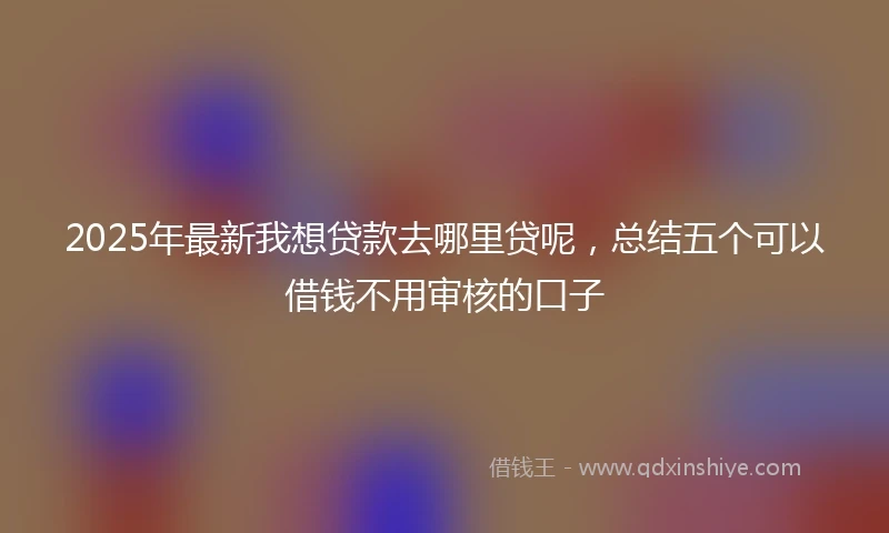 2025年最新我想贷款去哪里贷呢，总结五个可以借钱不用审核的口子