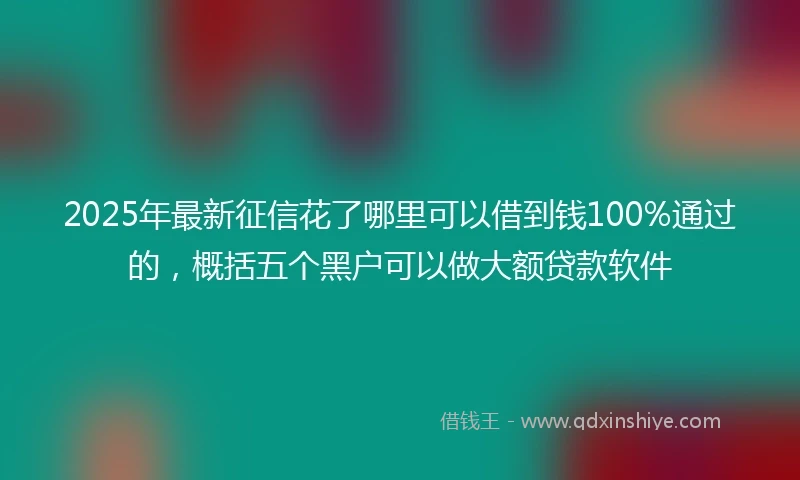 2025年最新征信花了哪里可以借到钱100%通过的，概括五个黑户可以做大额贷款软件