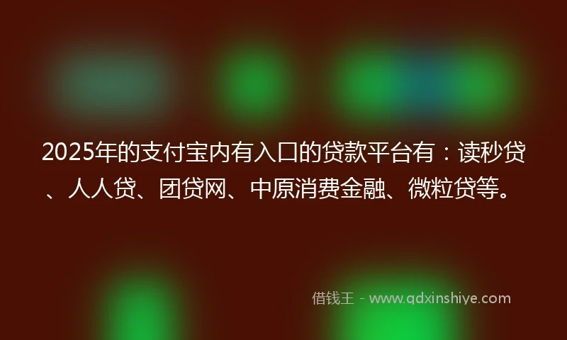 2025年的支付宝内有入口的贷款平台有：读秒贷、人人贷、团贷网、中原消费金融、微粒贷等。