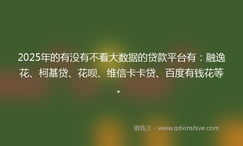 2025年的有没有不看大数据的贷款平台有：融逸花、柯基贷、花呗、维信卡卡贷、百度有钱花等。