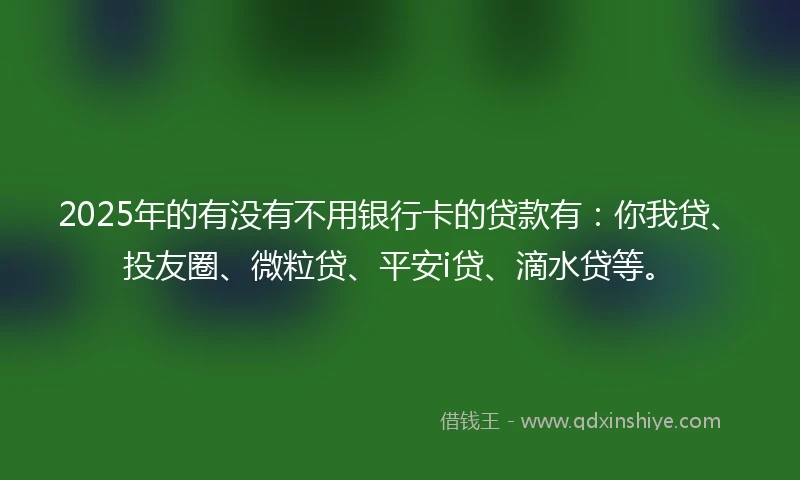 2025年的有没有不用银行卡的贷款有：你我贷、投友圈、微粒贷、平安i贷、滴水贷等。
