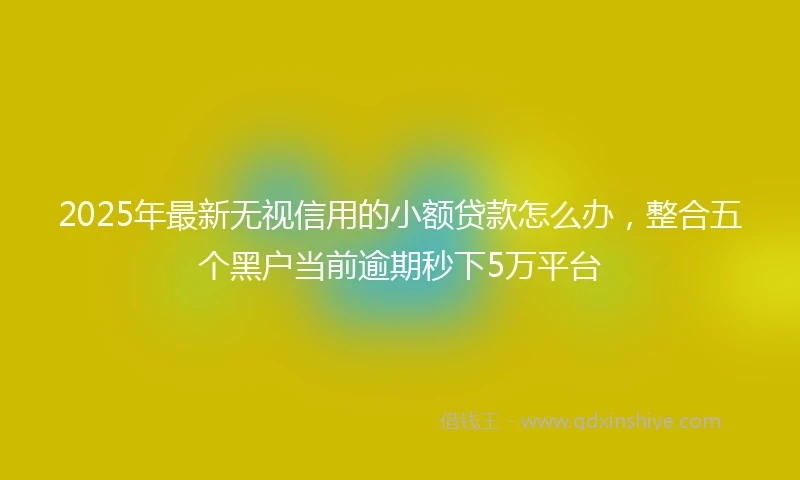 2025年最新无视信用的小额贷款怎么办，整合五个黑户当前逾期秒下5万平台