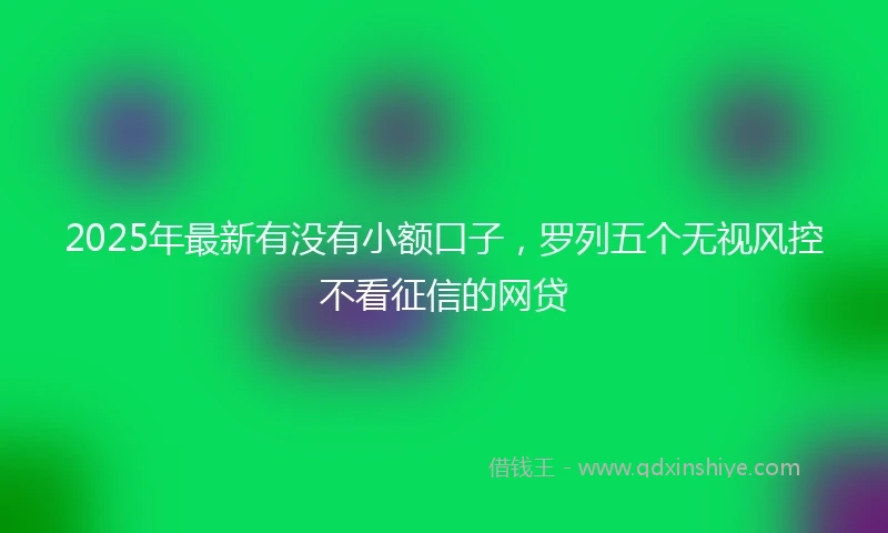 2025年最新有没有小额口子，罗列五个无视风控不看征信的网贷