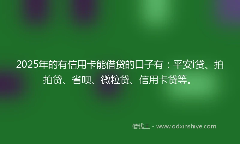 2025年的有信用卡能借贷的口子有：平安i贷、拍拍贷、省呗、微粒贷、信用卡贷等。