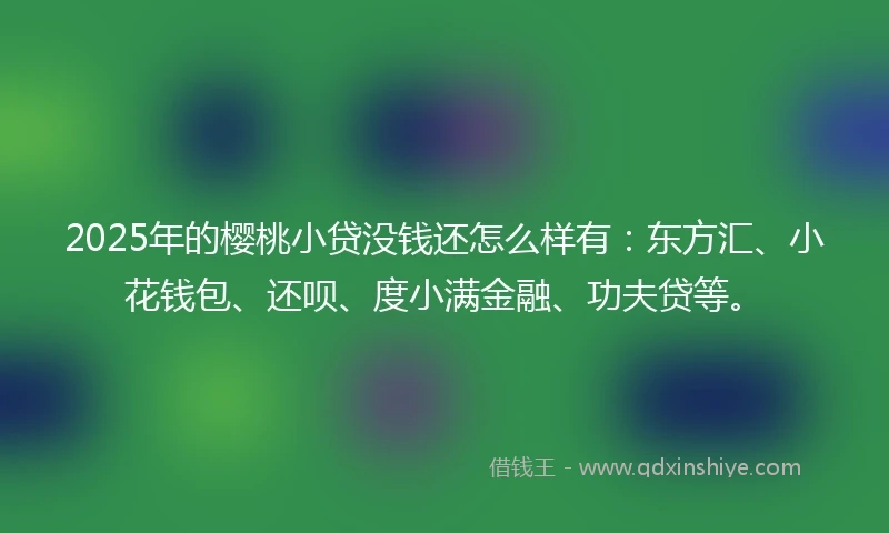 2025年的樱桃小贷没钱还怎么样有：东方汇、小花钱包、还呗、度小满金融、功夫贷等。