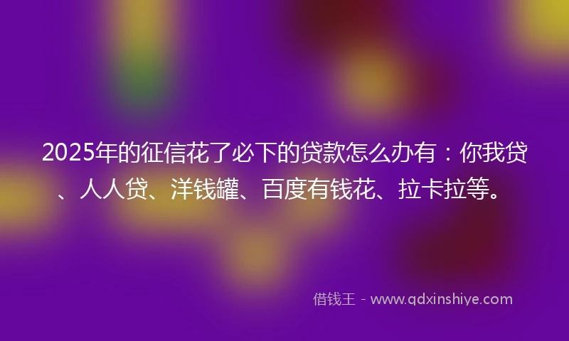 2025年的征信花了必下的贷款怎么办有：你我贷、人人贷、洋钱罐、百度有钱花、拉卡拉等。