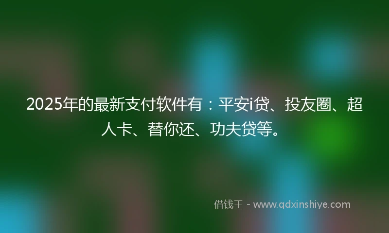 2025年的最新支付软件有：平安i贷、投友圈、超人卡、替你还、功夫贷等。
