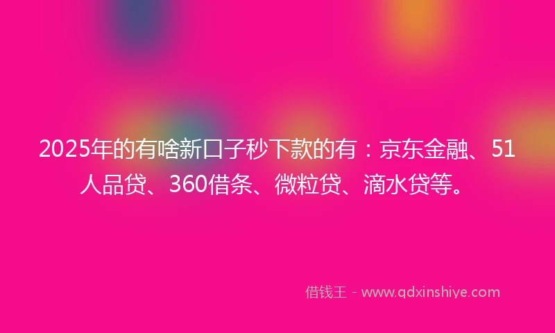 2025年的有啥新口子秒下款的有：京东金融、51人品贷、360借条、微粒贷、滴水贷等。