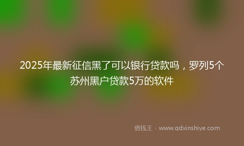2025年最新征信黑了可以银行贷款吗，罗列5个苏州黑户贷款5万的软件