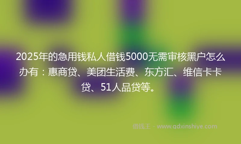 2025年的急用钱私人借钱5000无需审核黑户怎么办有：惠商贷、美团生活费、东方汇、维信卡卡贷、51人品贷等。