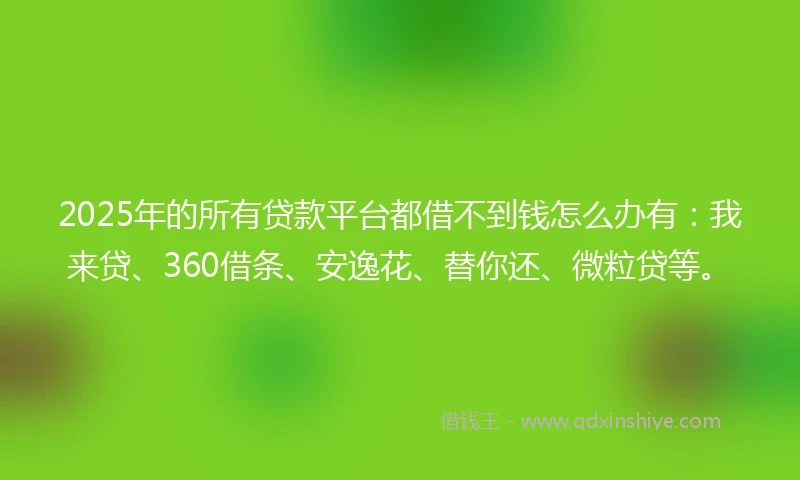 2025年的所有贷款平台都借不到钱怎么办有：我来贷、360借条、安逸花、替你还、微粒贷等。