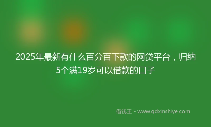 2025年最新有什么百分百下款的网贷平台，归纳5个满19岁可以借款的口子