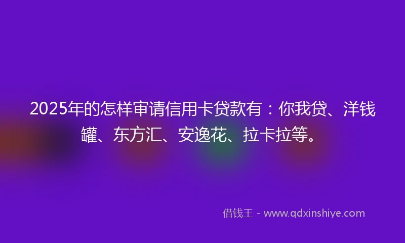 2025年的怎样审请信用卡贷款有：你我贷、洋钱罐、东方汇、安逸花、拉卡拉等。