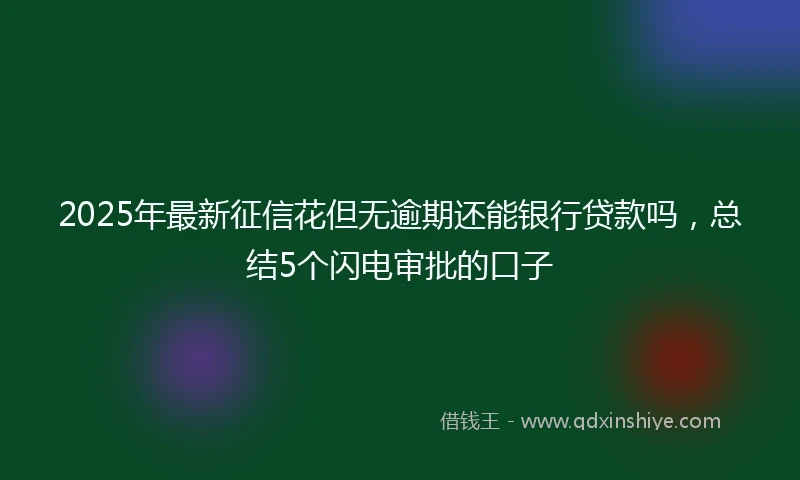2025年最新征信花但无逾期还能银行贷款吗，总结5个闪电审批的口子