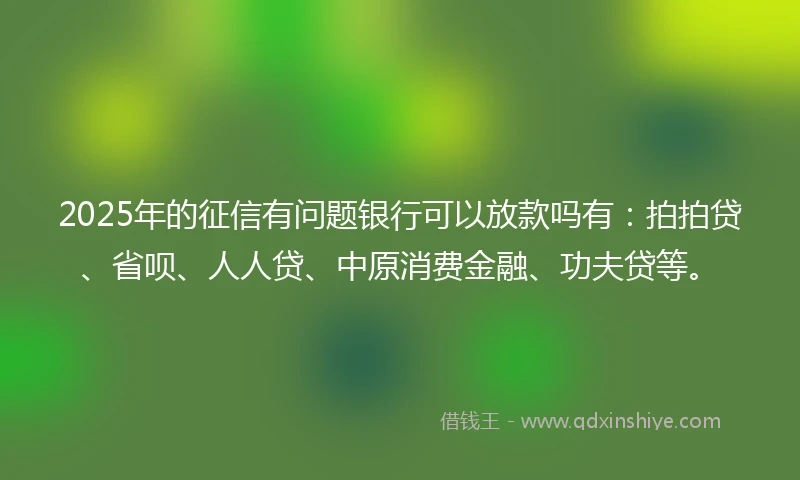 2025年的征信有问题银行可以放款吗有：拍拍贷、省呗、人人贷、中原消费金融、功夫贷等。
