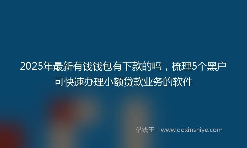 2025年最新有钱钱包有下款的吗，梳理5个黑户可快速办理小额贷款业务的软件