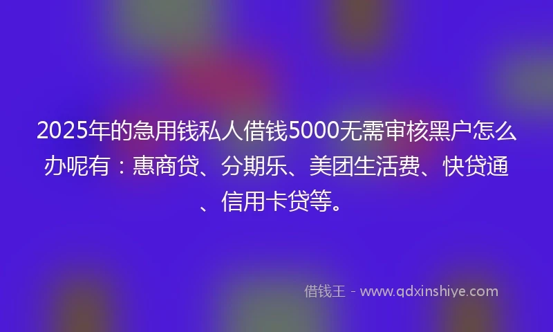 2025年的急用钱私人借钱5000无需审核黑户怎么办呢有：惠商贷、分期乐、美团生活费、快贷通、信用卡贷等。