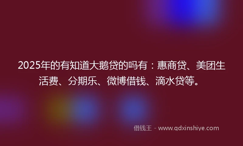 2025年的有知道大鹅贷的吗有：惠商贷、美团生活费、分期乐、微博借钱、滴水贷等。
