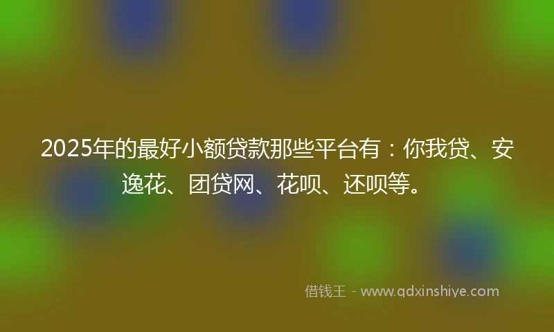 2025年的最好小额贷款那些平台有：你我贷、安逸花、团贷网、花呗、还呗等。