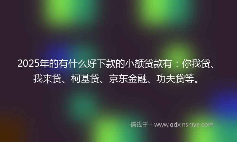 2025年的有什么好下款的小额贷款有：你我贷、我来贷、柯基贷、京东金融、功夫贷等。