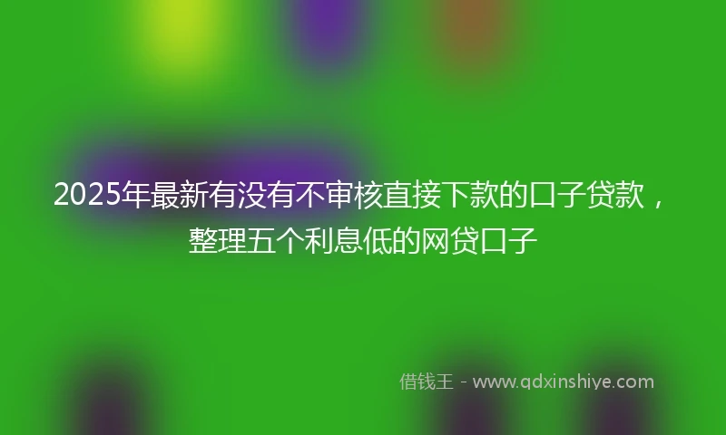 2025年最新有没有不审核直接下款的口子贷款，整理五个利息低的网贷口子