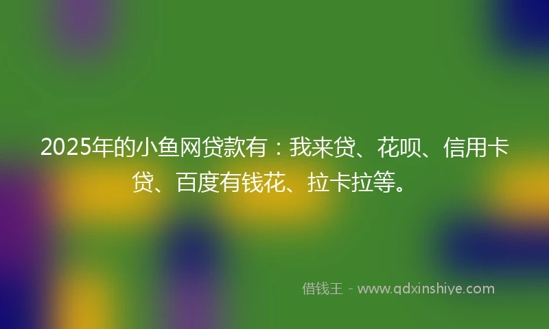 2025年的小鱼网贷款有:我来贷、花呗、信用卡贷、百度有钱花、拉卡拉等。