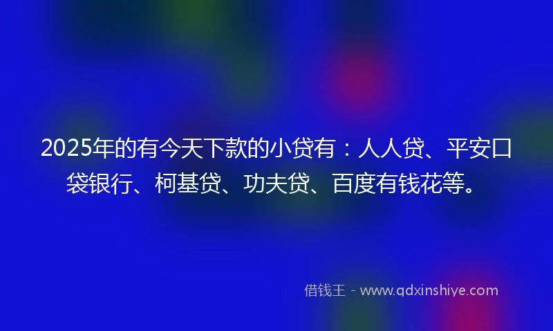2025年的有今天下款的小贷有：人人贷、平安口袋银行、柯基贷、功夫贷、百度有钱花等。