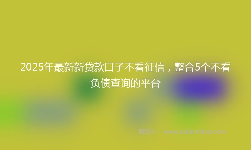 2025年最新新贷款口子不看征信，整合5个不看负债查询的平台