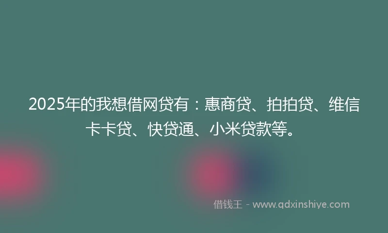2025年的我想借网贷有：惠商贷、拍拍贷、维信卡卡贷、快贷通、小米贷款等。