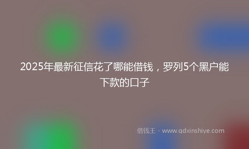 2025年最新征信花了哪能借钱，罗列5个黑户能下款的口子