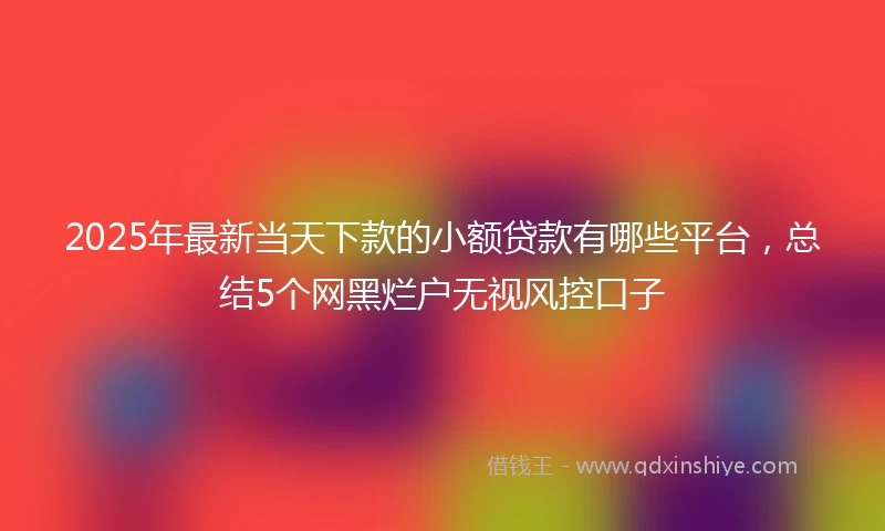 2025年最新当天下款的小额贷款有哪些平台，总结5个网黑烂户无视风控口子