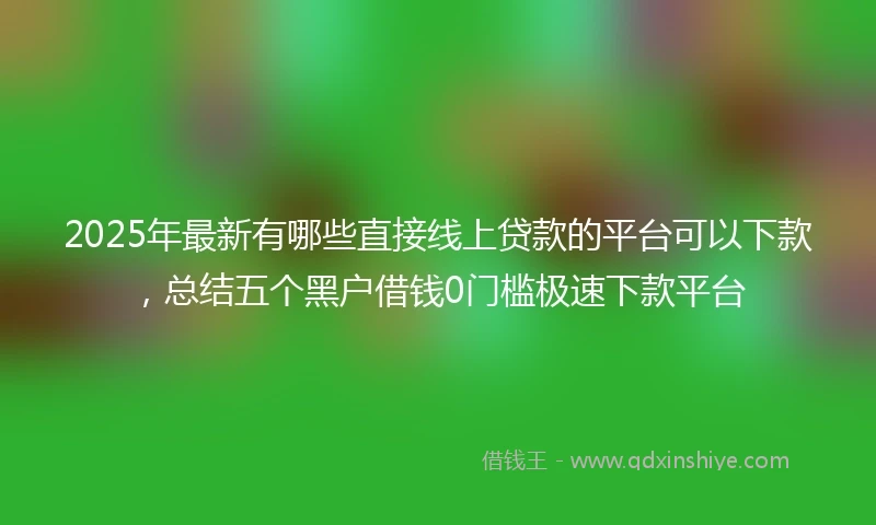 2025年最新有哪些直接线上贷款的平台可以下款，总结五个黑户借钱0门槛极速下款平台