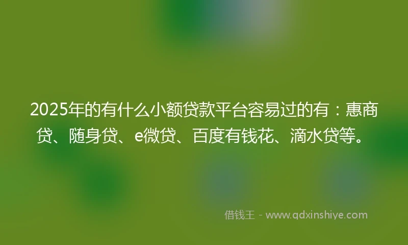 2025年的有什么小额贷款平台容易过的有：惠商贷、随身贷、e微贷、百度有钱花、滴水贷等。
