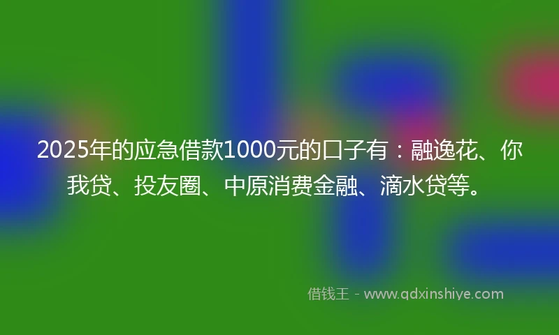 2025年的应急借款1000元的口子有：融逸花、你我贷、投友圈、中原消费金融、滴水贷等。