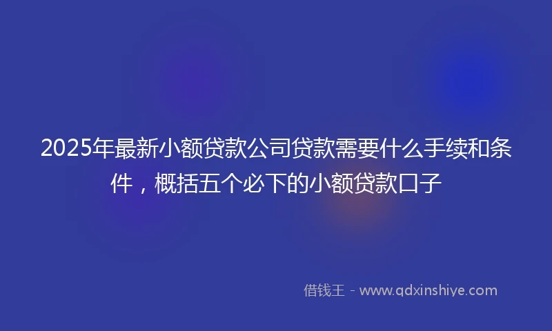 2025年最新小额贷款公司贷款需要什么手续和条件，概括五个必下的小额贷款口子